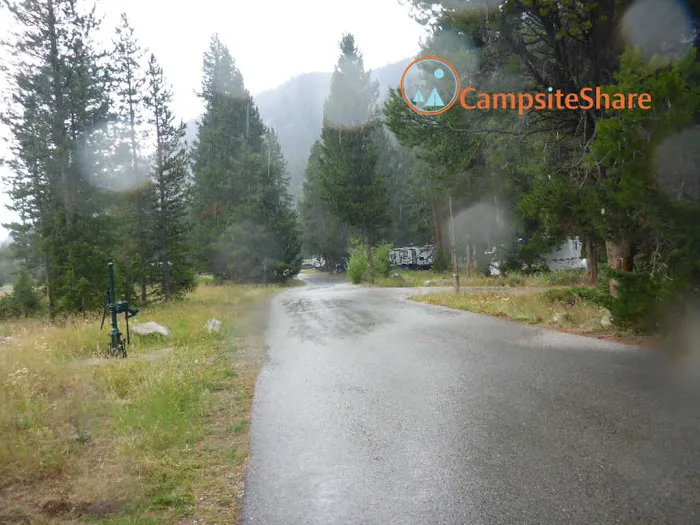 Lodgepole Campground 5