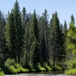 Fourth of July Campground and Picnic Area