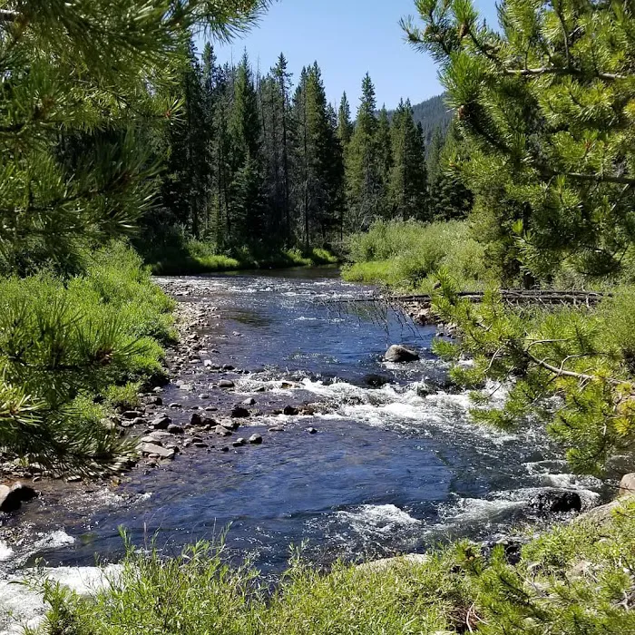 Fourth of July Campground and Picnic Area 8