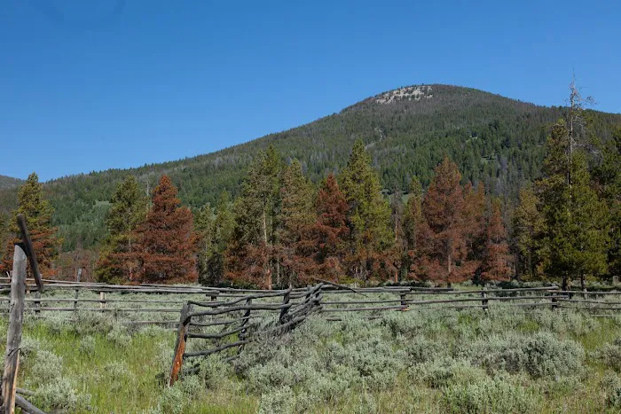 Pettengill Campground 1