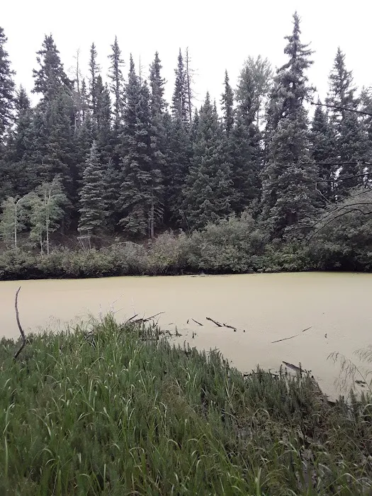 Beaver Lake Day Use Area/ Fishing Site 0