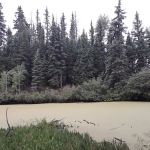 Beaver Lake Day Use Area/ Fishing Site