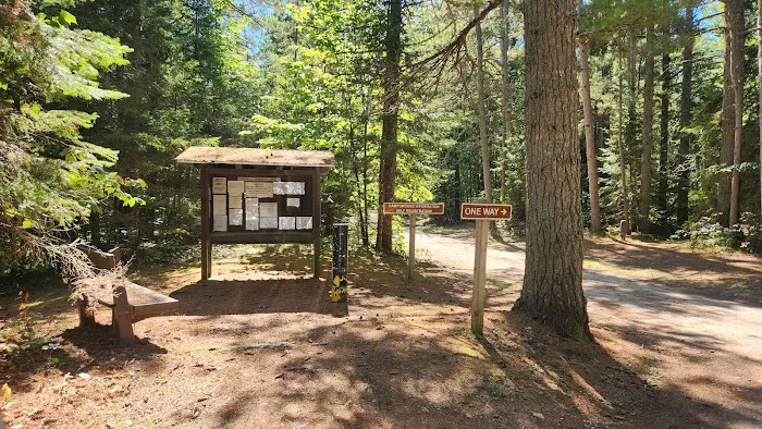 DeTour State Forest Campground 5