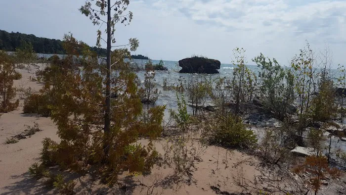 DeTour State Forest Campground 8