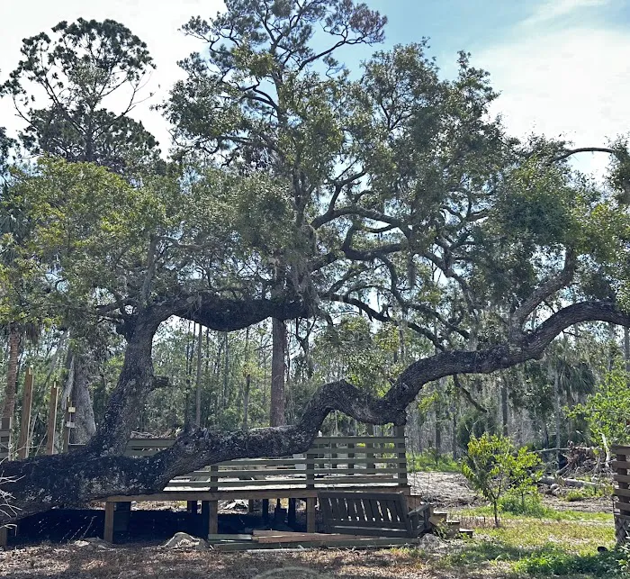Crooked Oak Landing 0