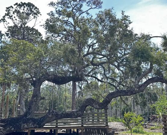 Crooked Oak Landing