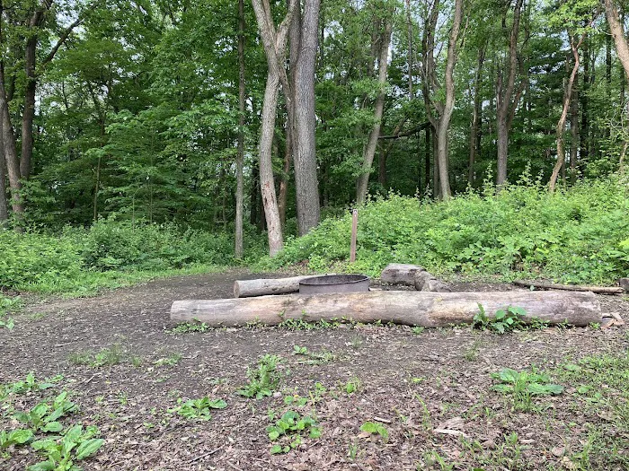 Mohican State Park - Backpack Campsite #6 1