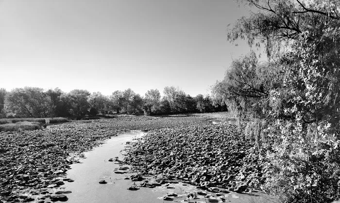 Huron River Valley - Sandusky Resort, Marina And Campground 9