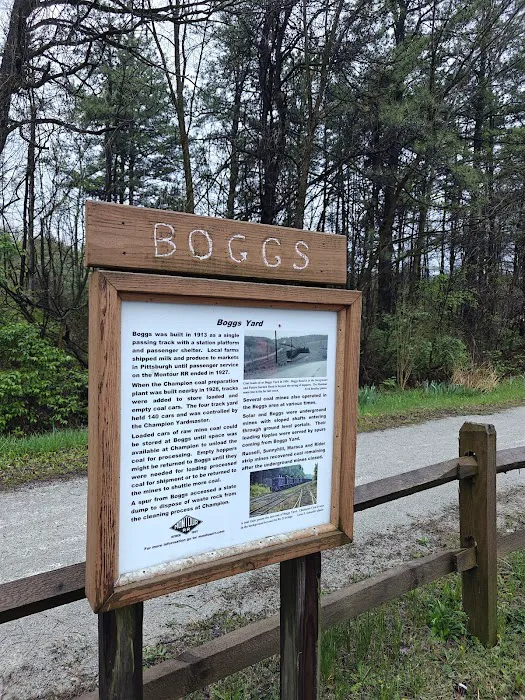 Montour Trail Boggs Campsite/Trailhead 3