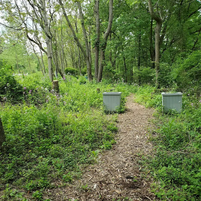 Montour Trail Boggs Campsite/Trailhead 1