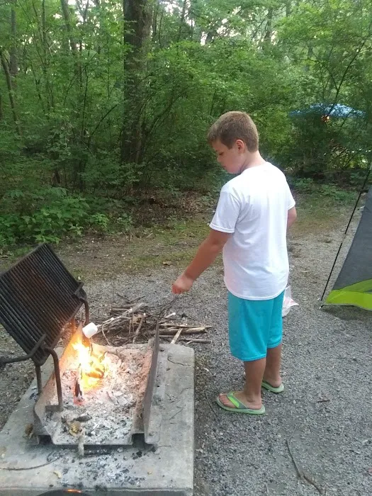 Fox Ridge State Park Campground 9