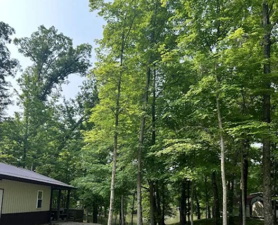 Whispering Oaks Campground