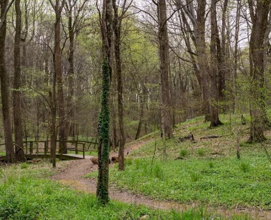 Ouabache Trails Campground