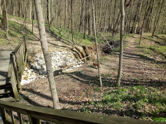 Ouabache Trails Campground 5