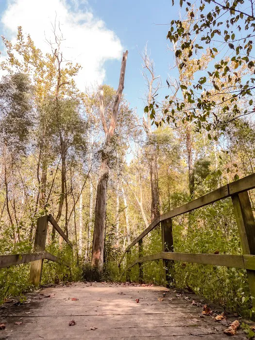 Ouabache Trails Campground 9