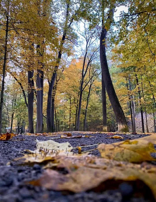 Hidden Creek Campground 4