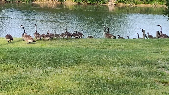 Great Lakes Resort 6