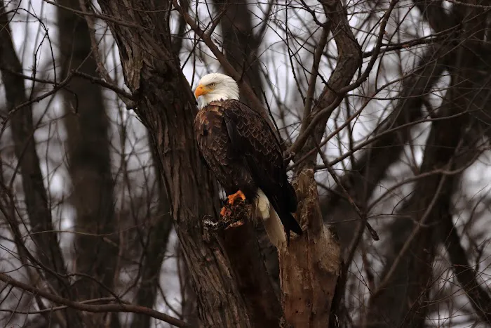 Mississinewa Reservoir 7