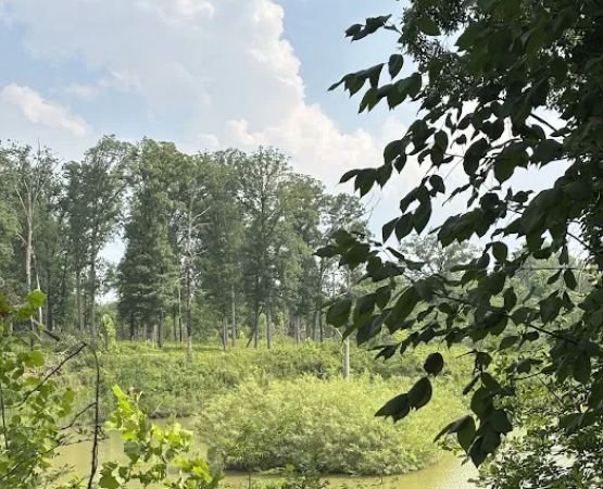 Mississinewa Lake Seasonal Campground
