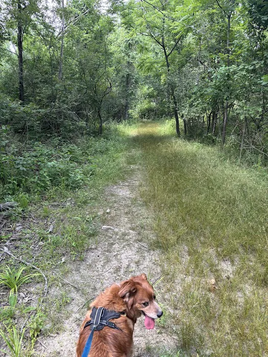 Mississinewa Lake Seasonal Campground 6