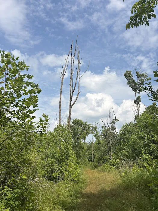 Mississinewa Lake Seasonal Campground 4