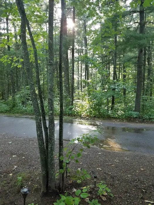 Big Lake Campground 8