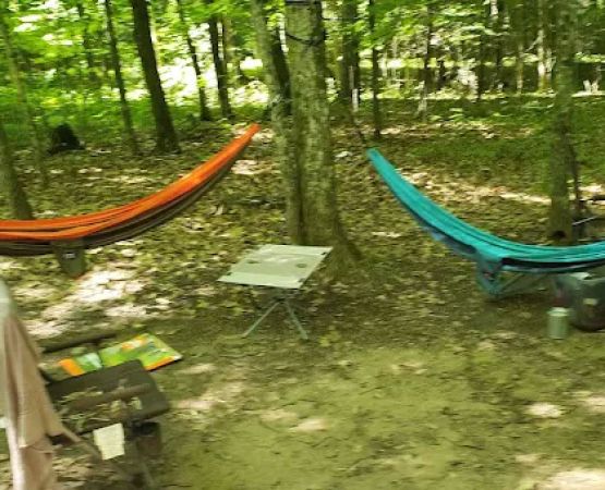 Clear Lake Campground
