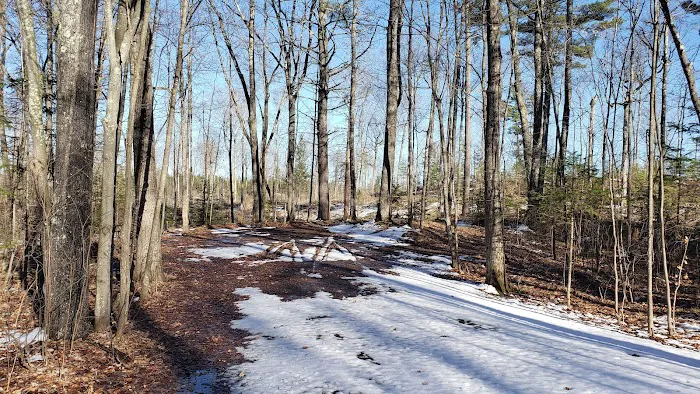 Clear Lake Campground 5