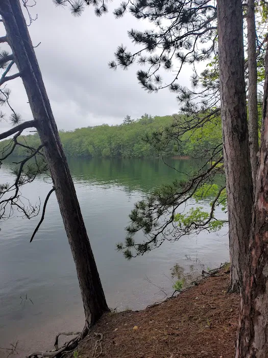 Clear Lake Campground 9