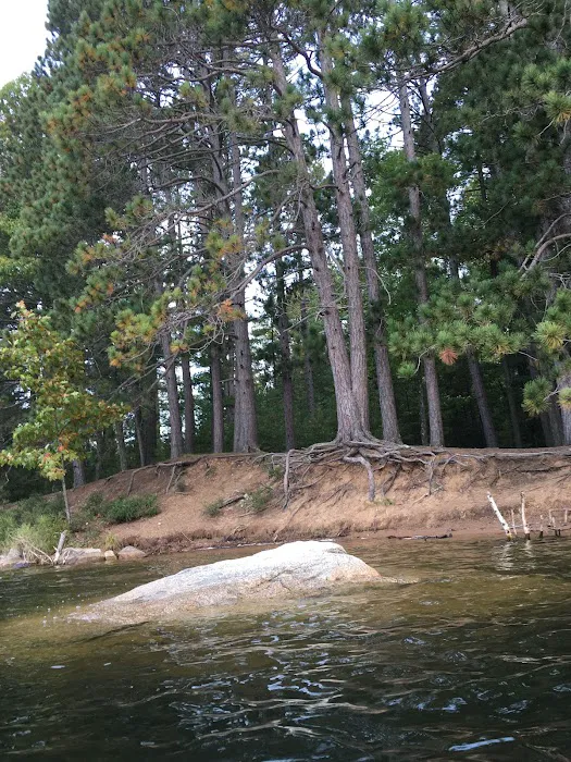 Buffalo Lake Campground 4