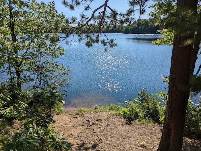 Cunard Lake Campground 8