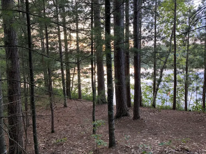 Cunard Lake Campground 7