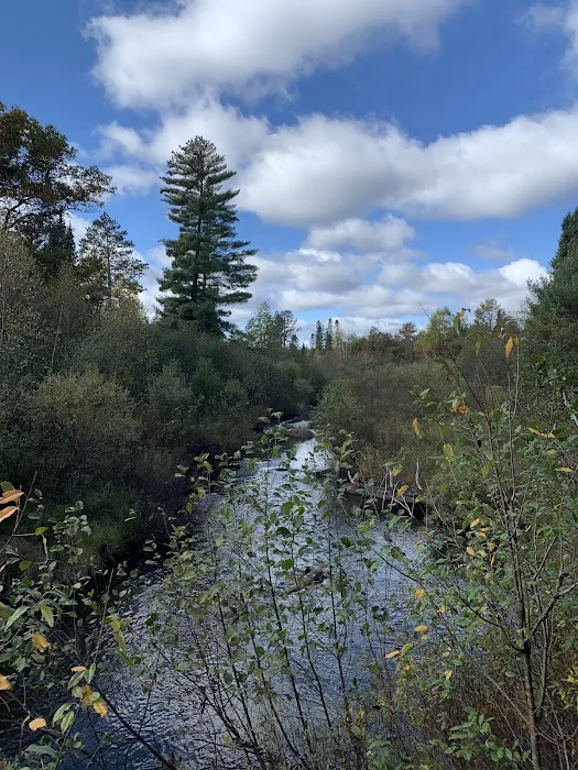 Tamarack Springs Campground 4