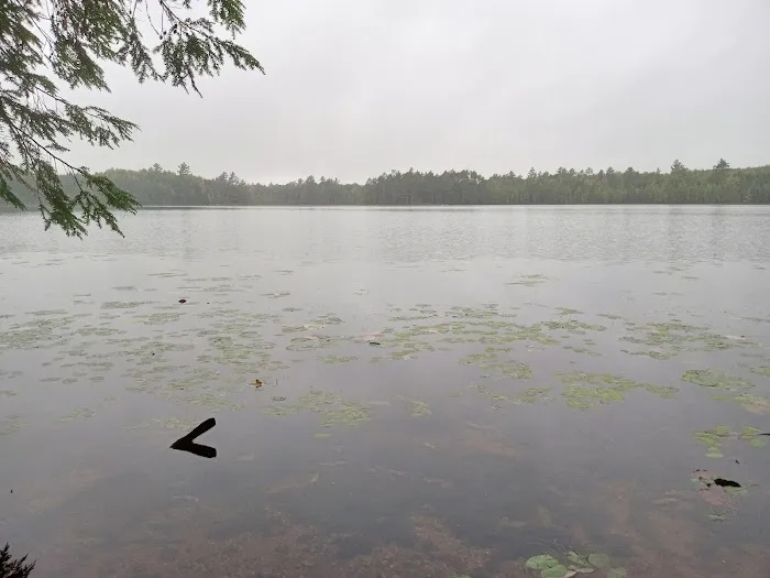 Wabasso Lake Campground 3