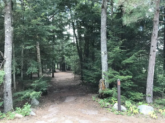 Wabasso Lake Campground 4