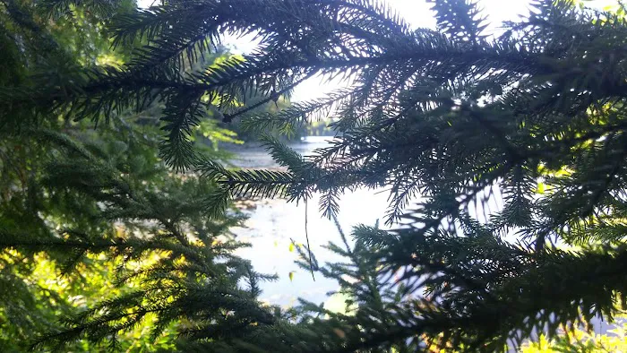 Wabasso Lake Campground 6