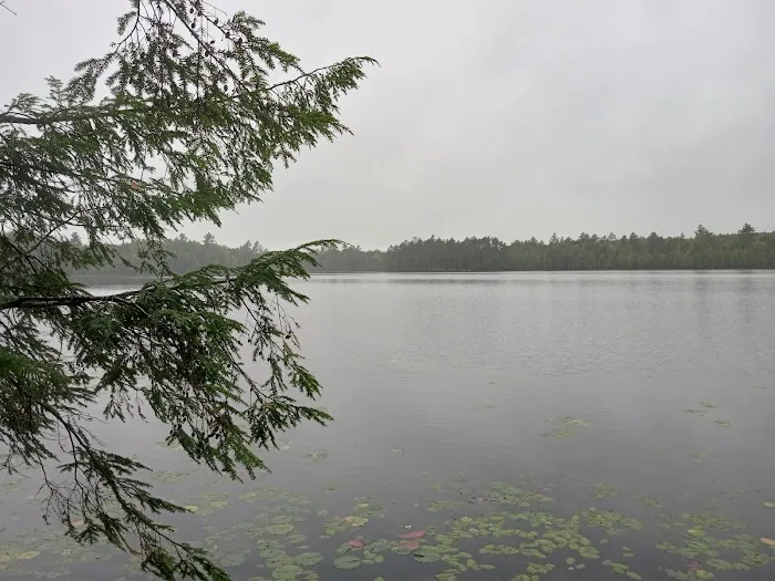Wabasso Lake Campground 8