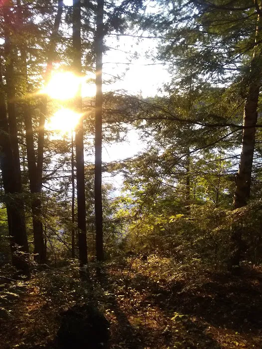 Wabasso Lake Campground 7