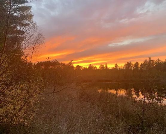 Emily Lake Campground