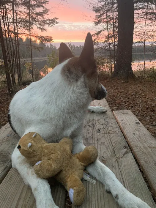 Emily Lake Campground 6