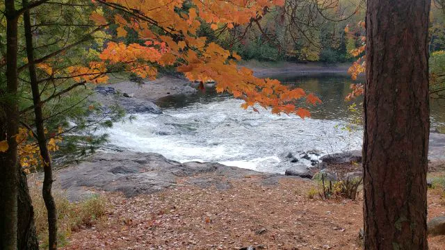 Cedar Falls Campground 6