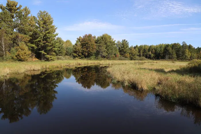 Cedar Falls Campground 8