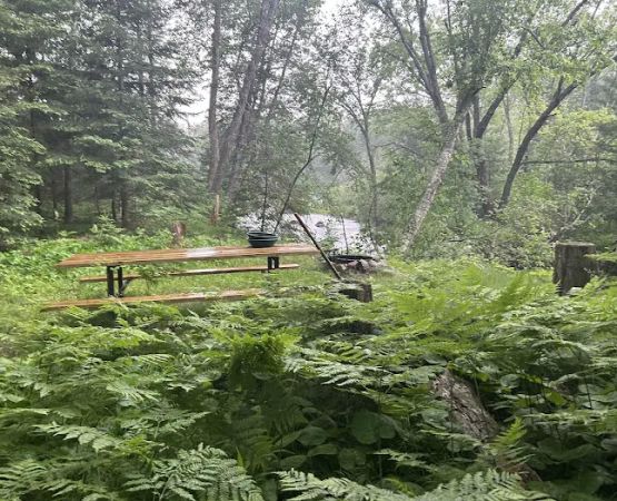 Rainbow Rapids Canoe Campsite