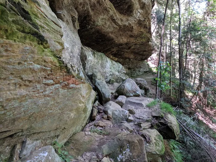 Canter's Cave 8
