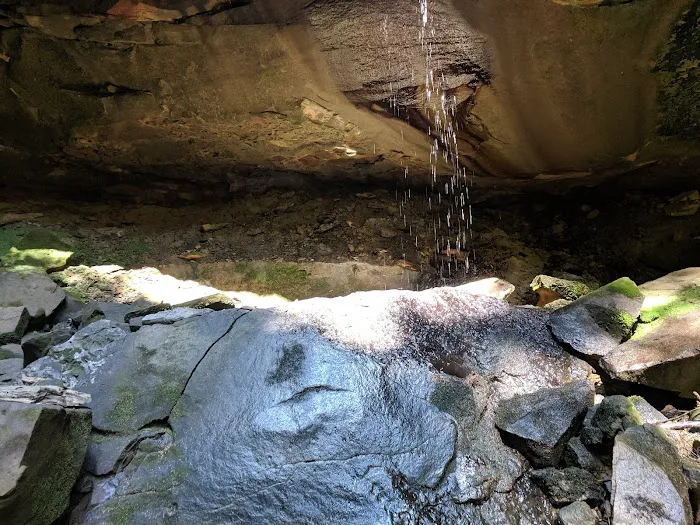 Canter's Cave 6