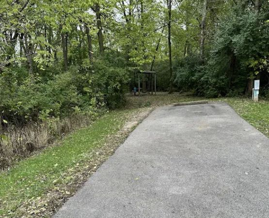 Campsite 175 (Electric Only)