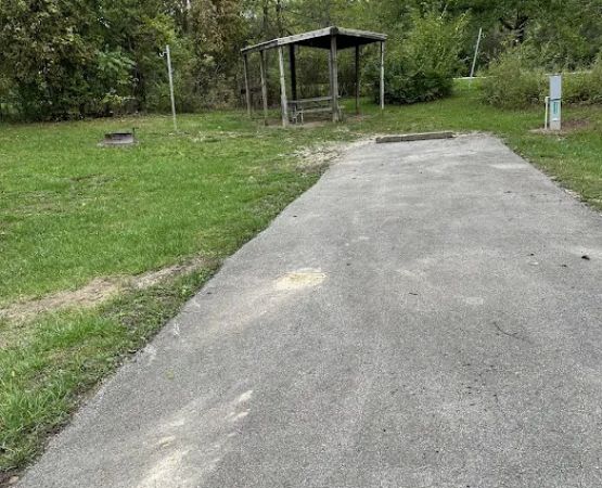 Campsite 172 (Electric Only)