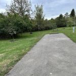 Campsite 180 (Electric Only)