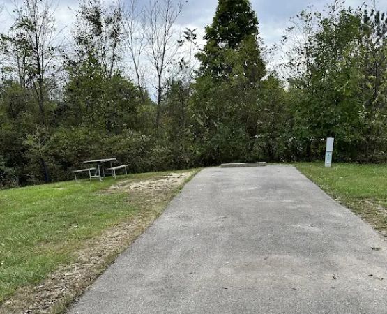 Campsite 169 (Electric Only)