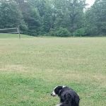 East Fork Indoor Group Campground